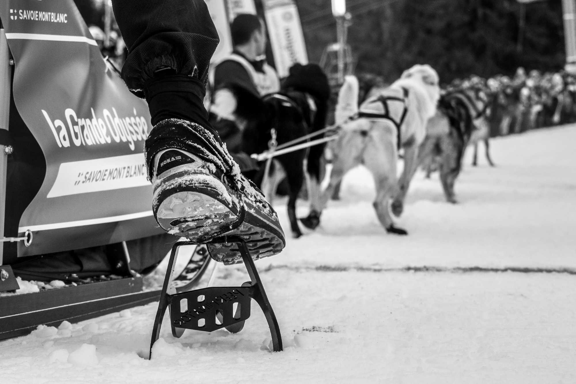 Prendre le départ ...une émotion unique partagée avec mes chiens et le public. Crédit photo Vincent Piccerelle.<br>