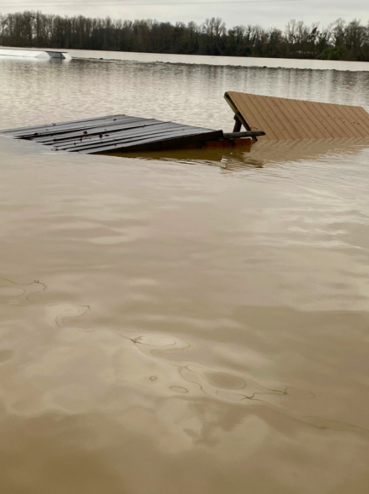 Wakelagoona - Le ponton du club.